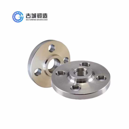 ASME ANSI B16.5 鍛造ステンレス鋼 304 316L パイプ フランジ